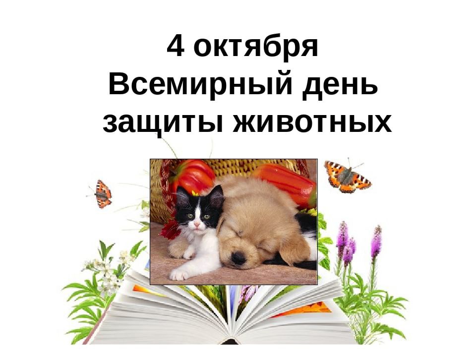 4 октября ― Всемирный день защиты животных.